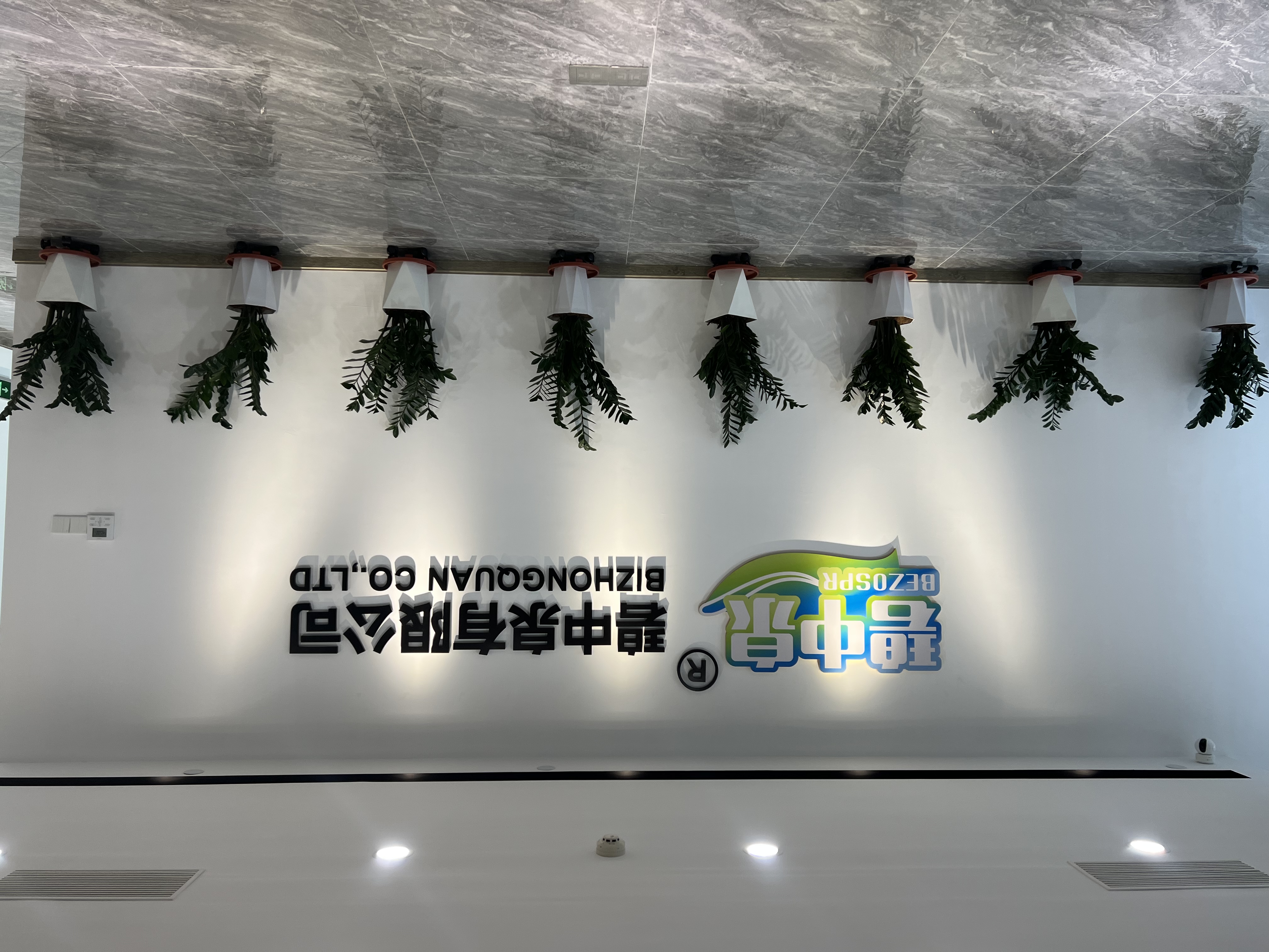 碧中泉品牌理念